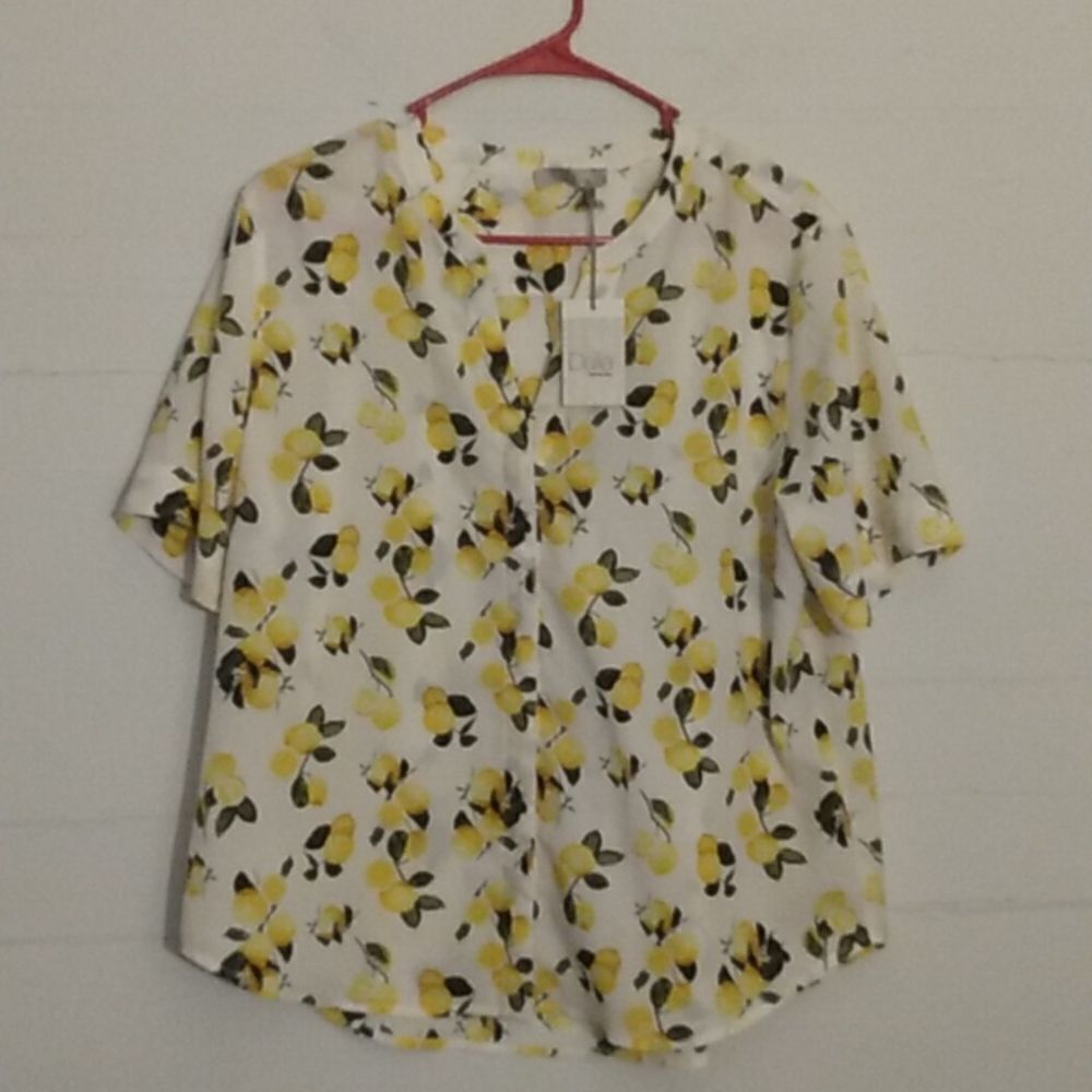 Delia blouse sz L
